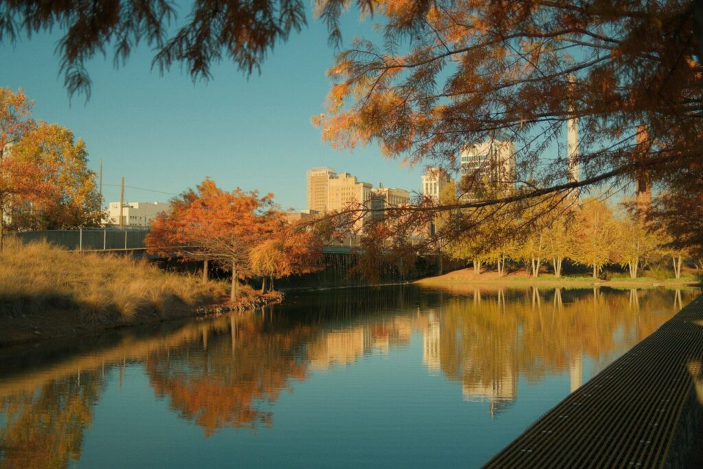 A bench sitting next to a body of water