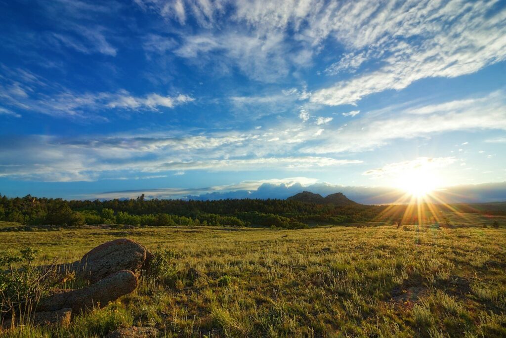 landscape photography of grass field