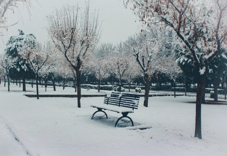 black metal bench on snow covered ground