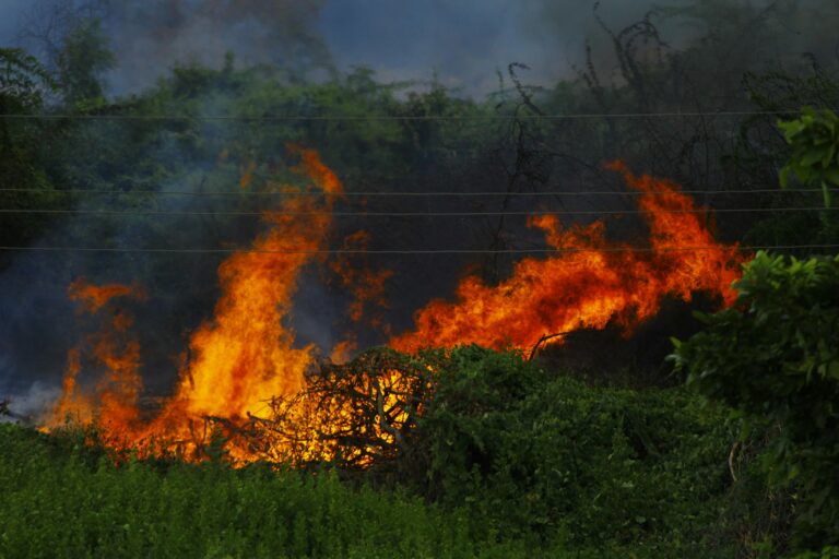 80,000 Wildfires In The US This year