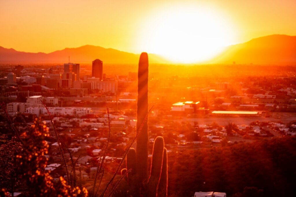 the sun is setting over a city with a cactus in the foreground
