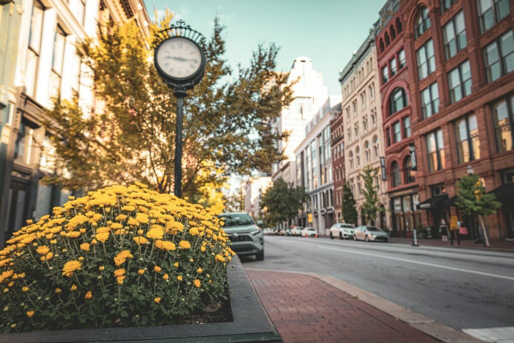 A clock on a pole on a city street
