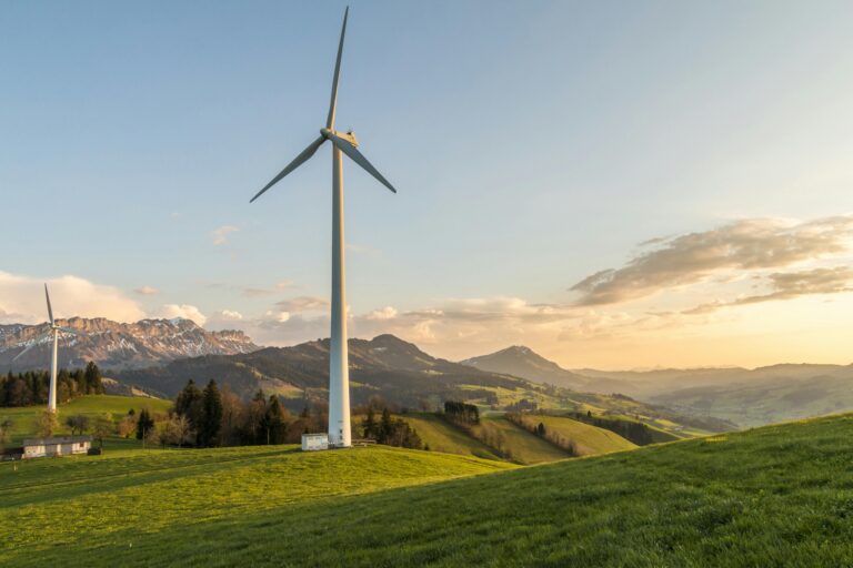The World Grow Desperate For Green Energy