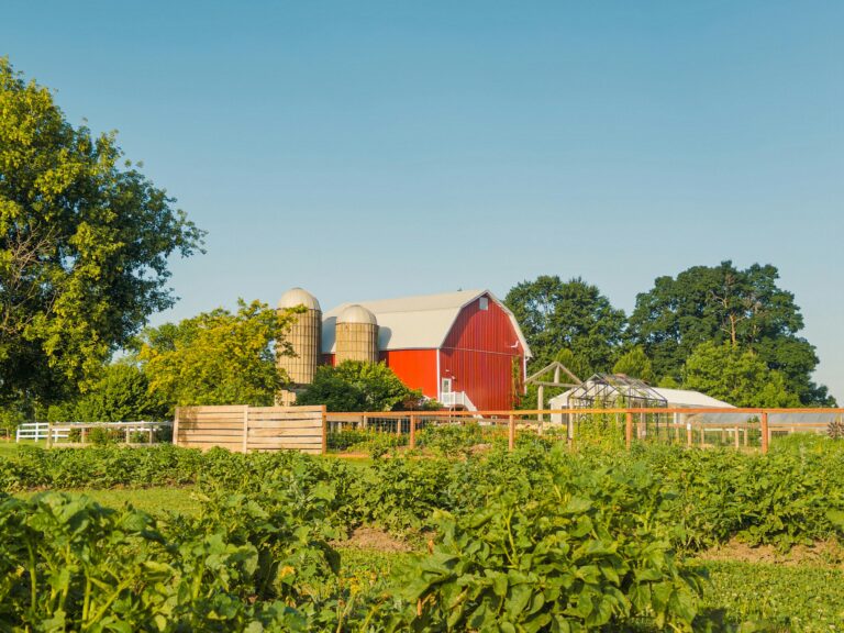 Don’t Get It Wrong. Farmers Need More Than fertilizer