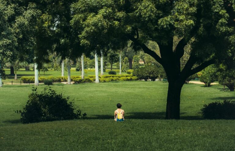 A person sits quietly under a tree in a lush green park, enjoying a tranquil moment.