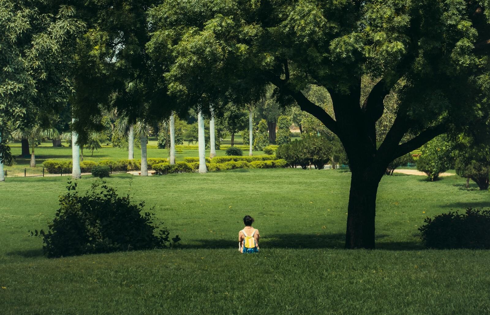 A person sits quietly under a tree in a lush green park, enjoying a tranquil moment.