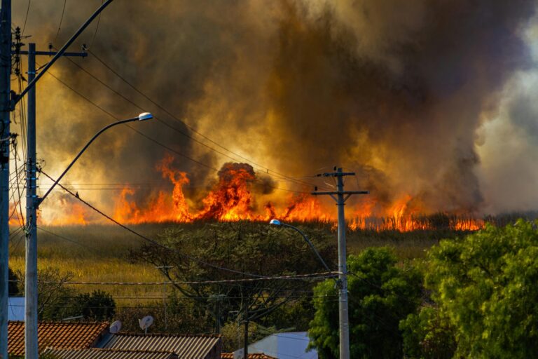30,000 Wildfires Hit US So Far In 2026