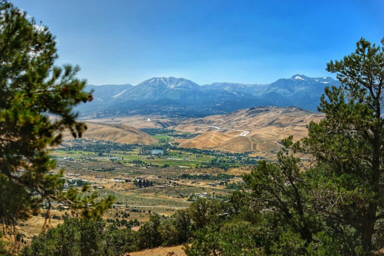 a landscape with trees and mountains in the background