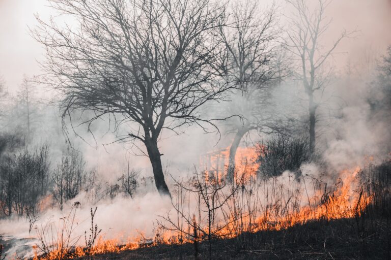 Wildfires Threaten Ranches