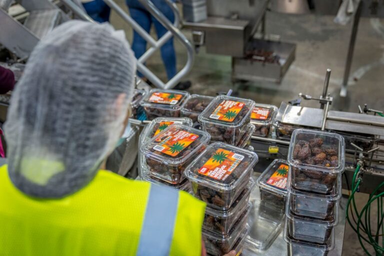 Worker managing date packaging in a modern industrial facility, ensuring quality control.