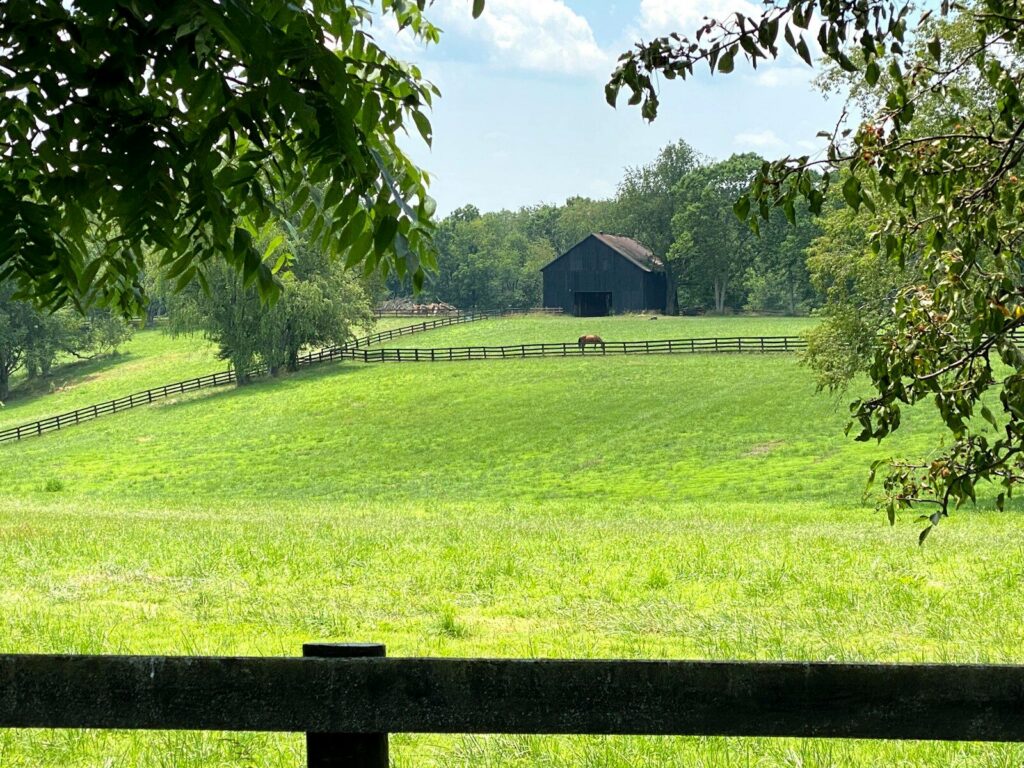green grass field with brown wooden fence