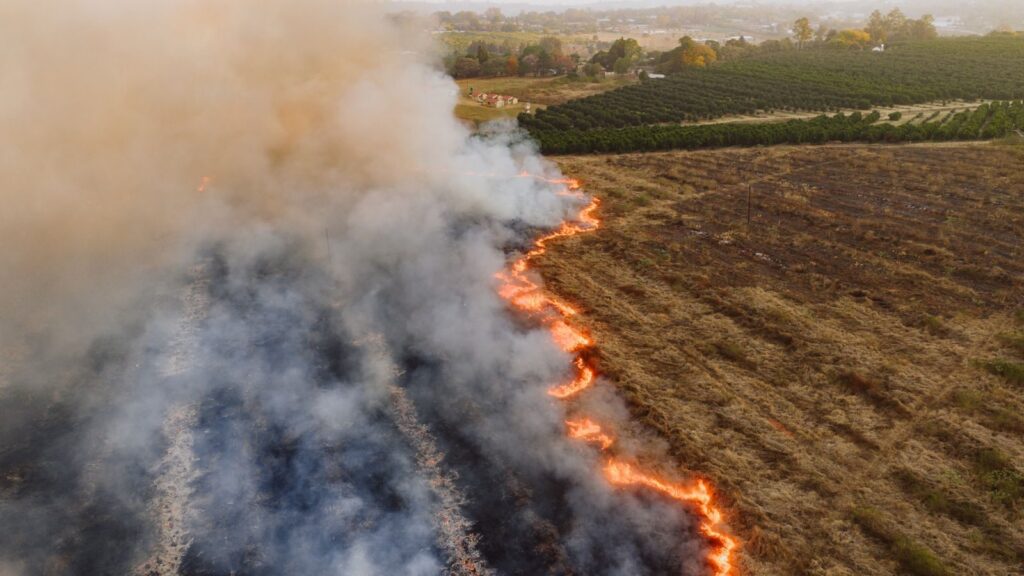 A dramatic aerial shot of a field fire near White River, revealing striking contrast of flames and smoke.