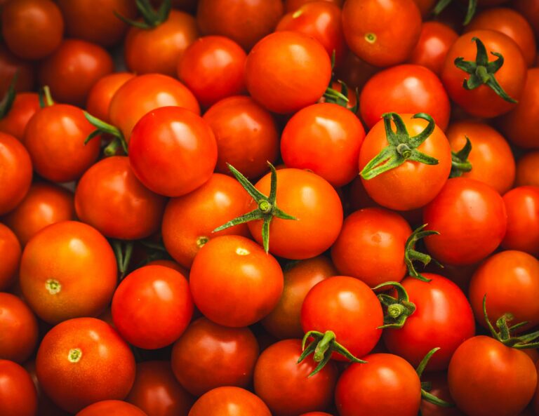 Global Warming Drives Up Tomato Prices 40%
