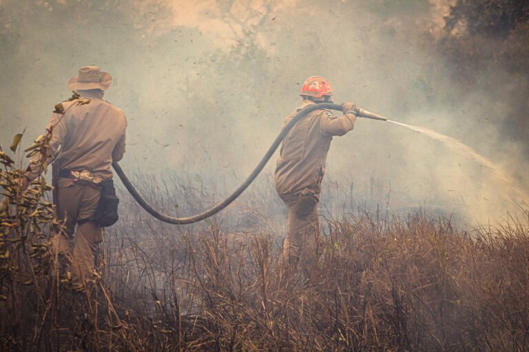 Wildfires Have Burned 2.5 Million Acres This year