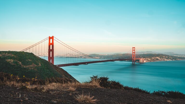 If You Want An EV, Live In California