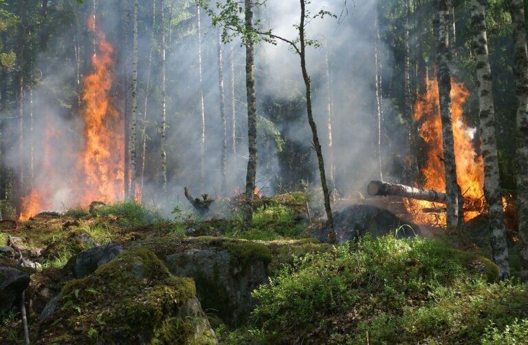 Extreme Wildfire Risk Hits US