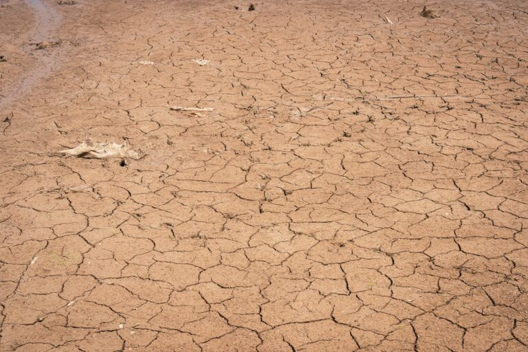 Drought And Heat Surge Worldwide