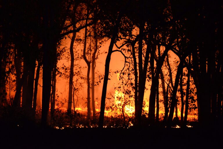 US Wildfire Count Tops 35,000