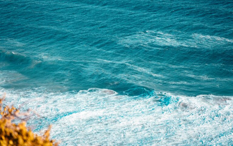 Ocean Temperatures Reach “uncharted territory”