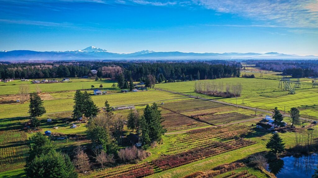 Stunning aerial view of countryside fields and mountains in Ferndale, WA, on a clear day.