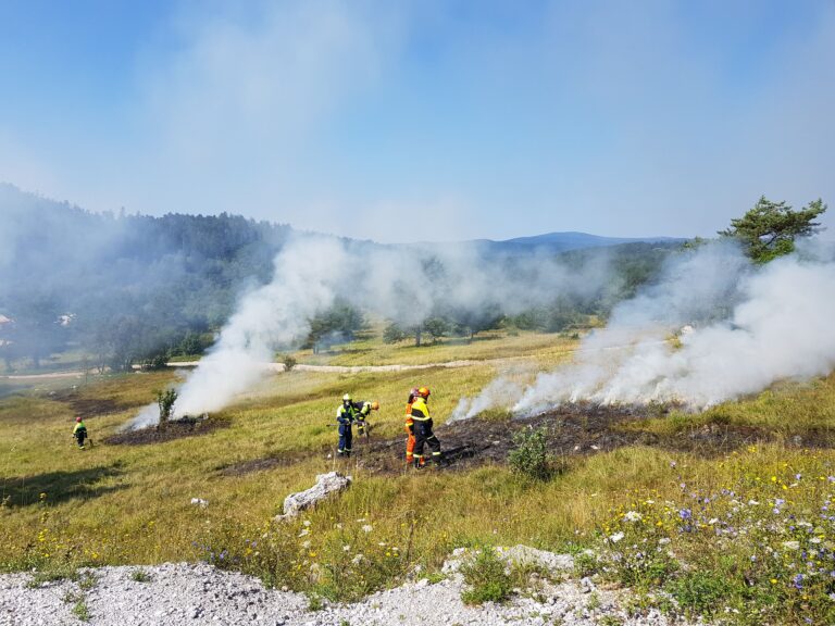 New York Hit By Wildfire Smoker Every year