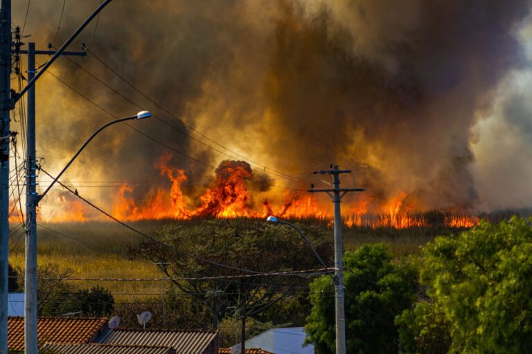 Wildfires Have Burned 3.5 Million Acres in The US