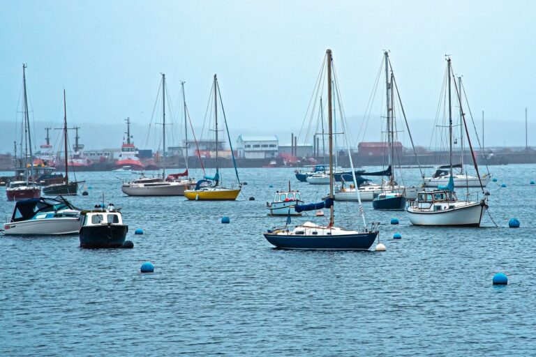A serene view of sailboats moored in a tranquil harbor, perfect for nautical themes.