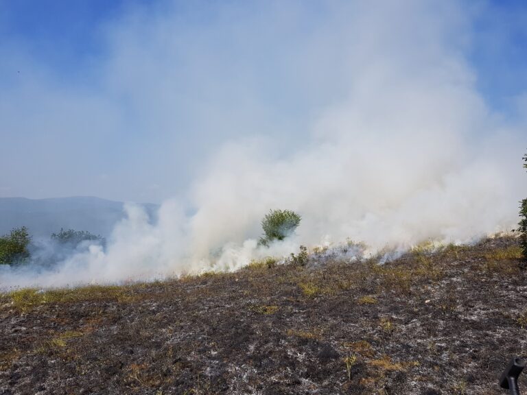 40,000 Wildfires in the US, and the Year Isn’t Over