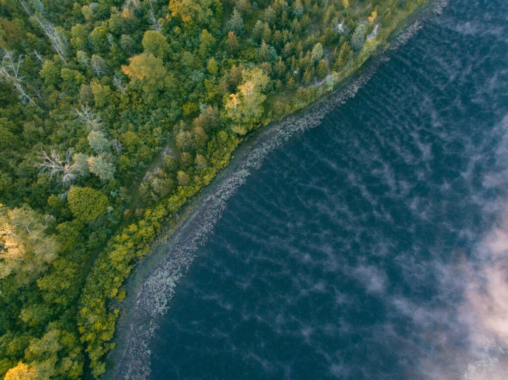 birds eye view of seashore near forest