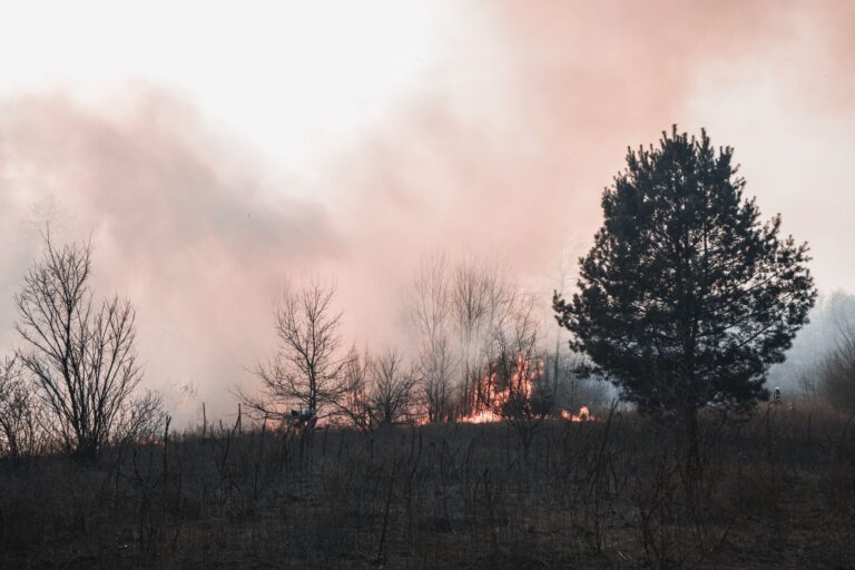 Wildfires Could Double This Century