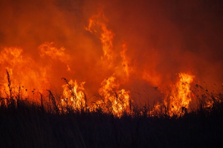 America Has Had 42,000 Wildfires This Year