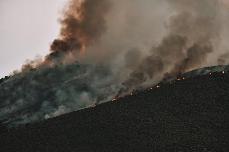 44,000 Wildfires In US This Year