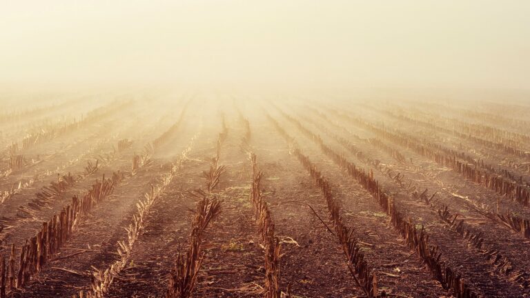 Drought is Ruining American Farms