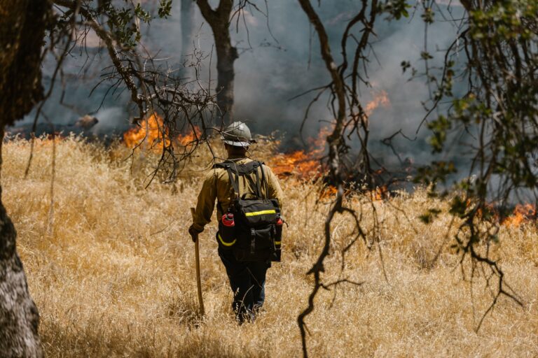 Wildfires Have Burned 4.8 million Acres In US