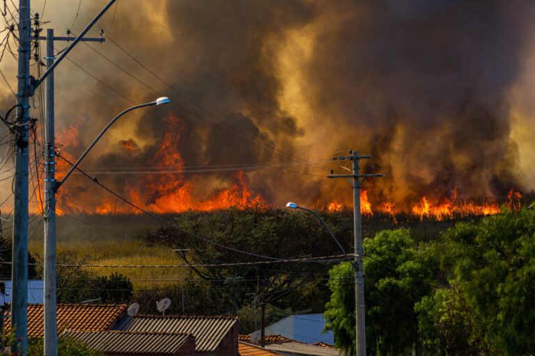 US Wildfires Have Burned 5.1 Million Acres