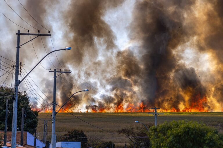 Rural landscape with a field engulfed in flames and thick smoke rising under a clear sky.