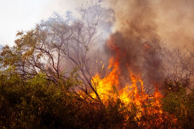 The world’s largest wildfire today is in Canada