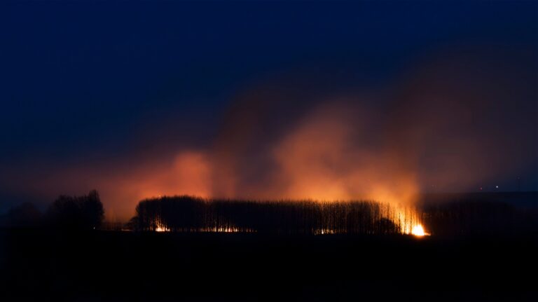 US To Be Hit By More Huge Wildfires