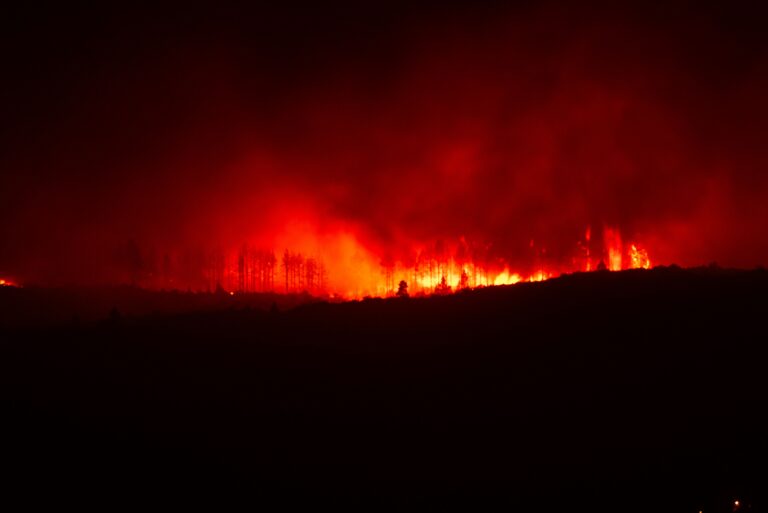 America Hit By 45,000 Wildfires