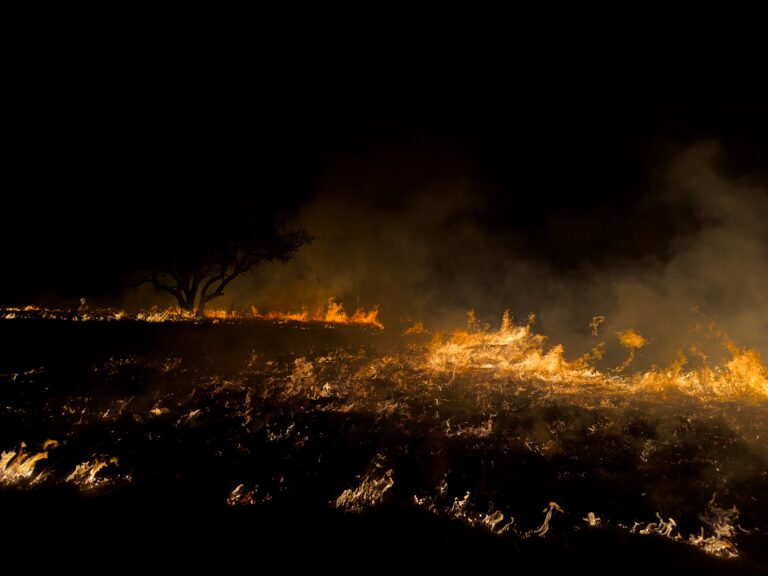 50,000 Wildfires In US Already This Year