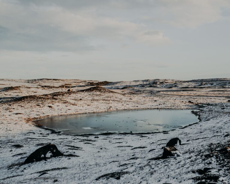 Arctic Temperatures Reach 90 Degree