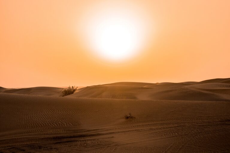 Odds 2026 Will Be hottest Year Ever Rise To 69%