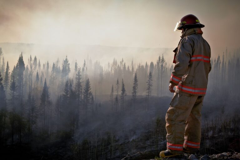 Wildfires Have Burned 7.5 Million Acres, which Is A Record