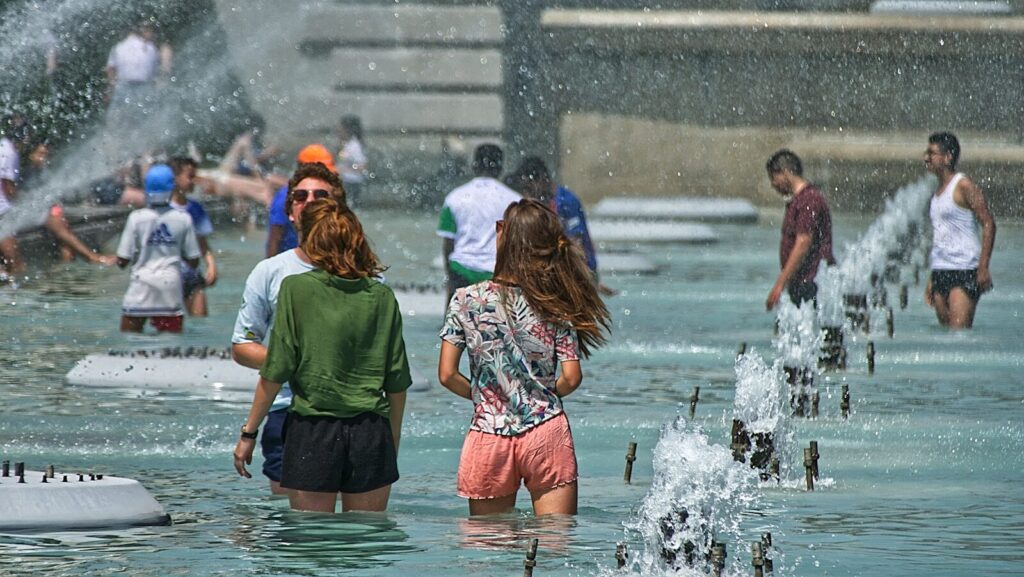 people in seashore
