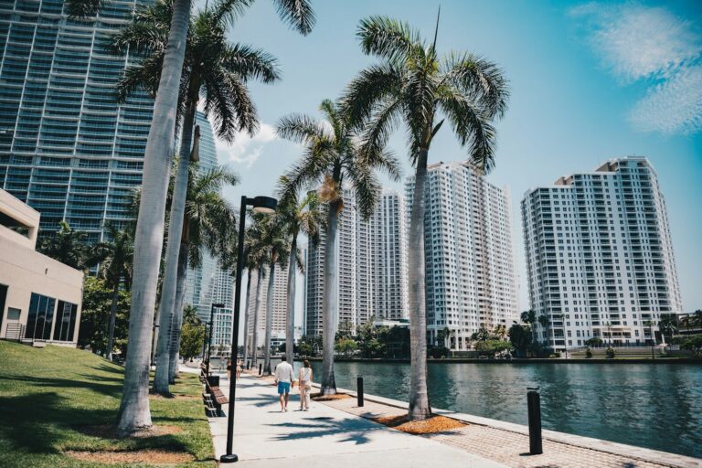 Palm trees line a walkway beside city buildings