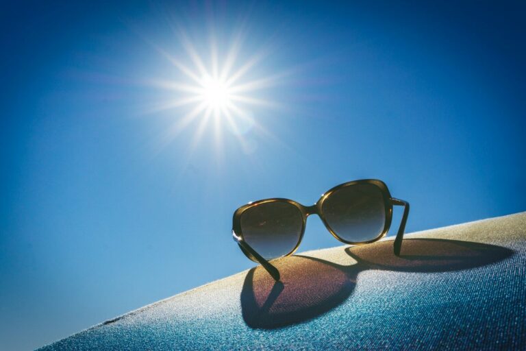 brown framed sunglasses