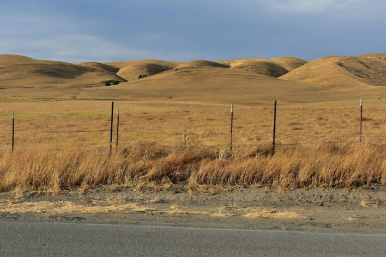 Golden hills under a cloudy sky with a fence