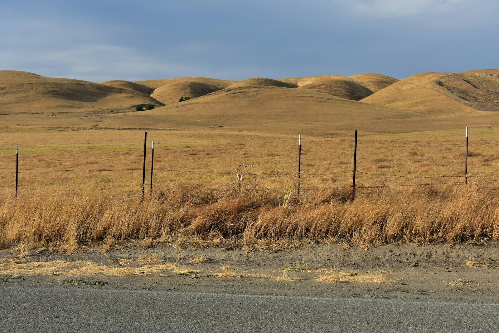 Golden hills under a cloudy sky with a fence