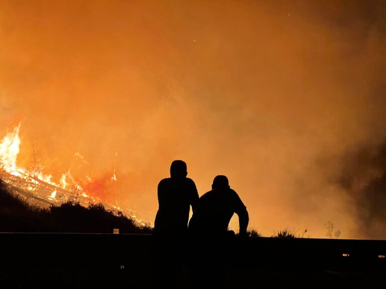 50,000 wildfires Have Hit US This Year