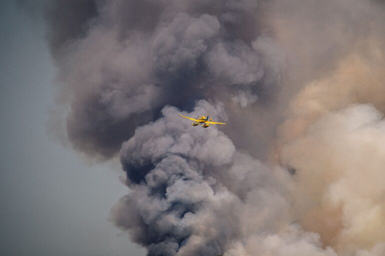 Wildfires Have Burned 8 Million Acres